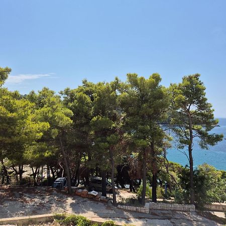 Apartment Kristic - Saplunara, Mljet Babino Polje Ngoại thất bức ảnh