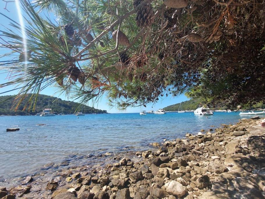 Apartment Kristic - Saplunara, Mljet Babino Polje Ngoại thất bức ảnh