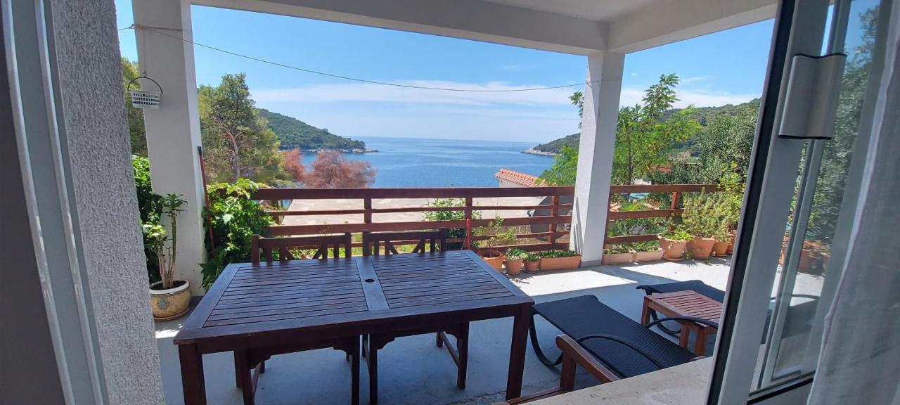 Apartment Kristic - Saplunara, Mljet Babino Polje Ngoại thất bức ảnh