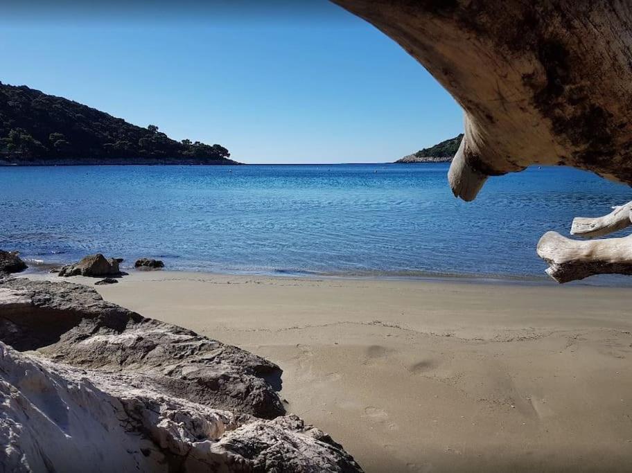 Apartment Kristic - Saplunara, Mljet Babino Polje Ngoại thất bức ảnh