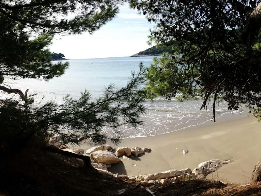 Apartment Kristic - Saplunara, Mljet Babino Polje Ngoại thất bức ảnh