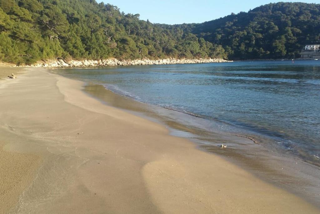 Apartment Kristic - Saplunara, Mljet Babino Polje Ngoại thất bức ảnh