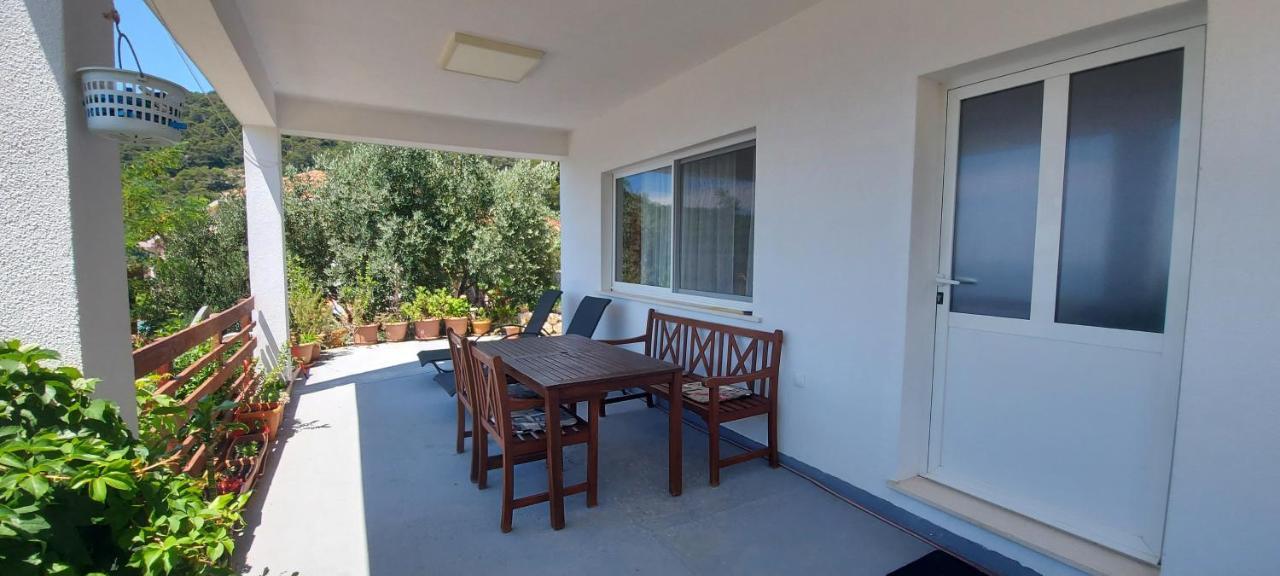 Apartment Kristic - Saplunara, Mljet Babino Polje Ngoại thất bức ảnh